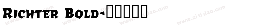 Richter Bold字体转换